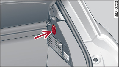 Luggage compartment: Retaining hook (example of right side)